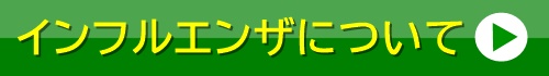 にいみ医院 インフルエンザについて